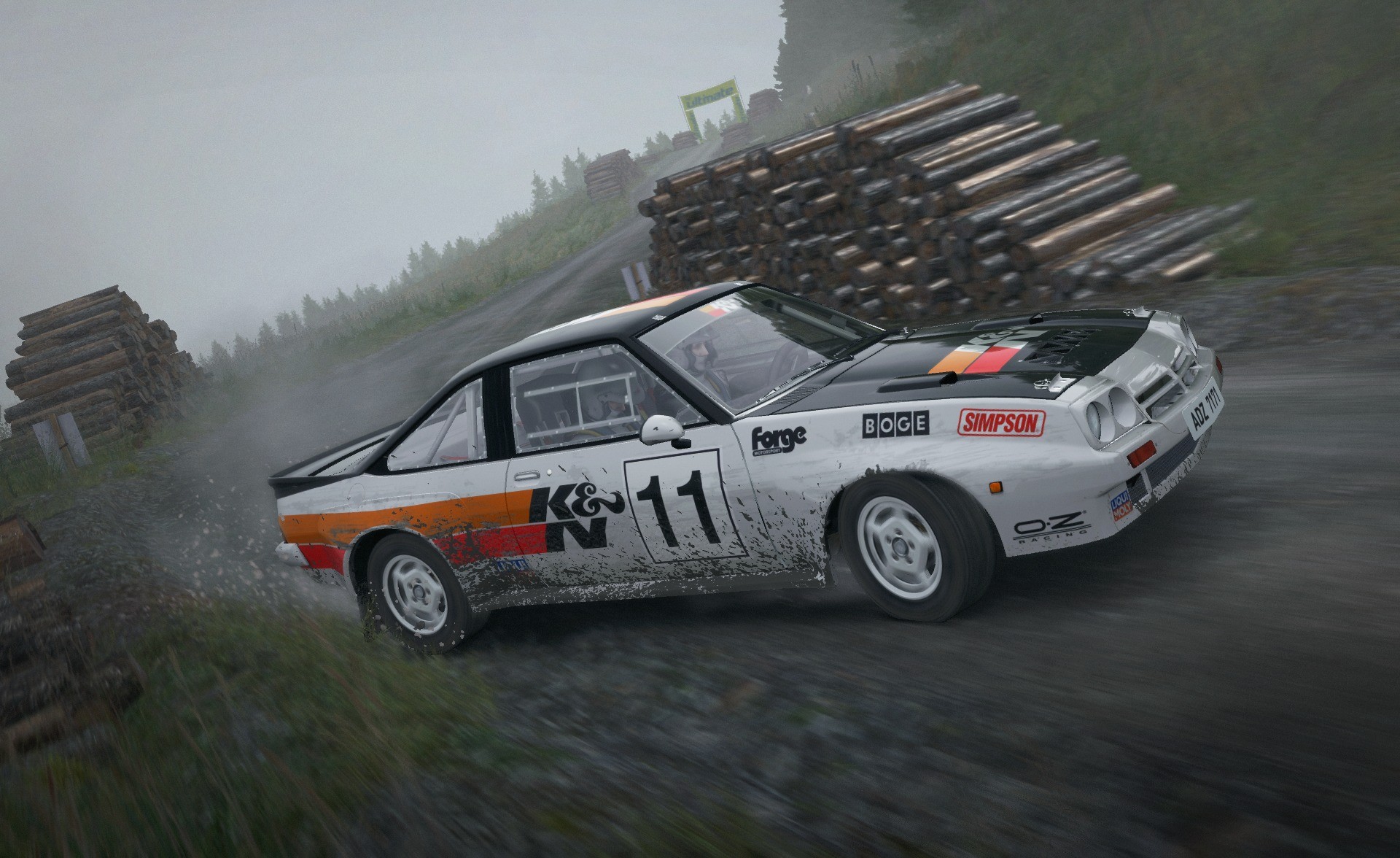DiRT Rally - Imagen 28